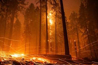 Embers flew as the Caldor fire burned in the Eldorado National Forest near Pollock Pines, Calif., in 2021.&nbsp;