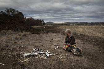 Harry Taylor, 6, played with the bones of dead livestock in Australia, which has faced severe drought.